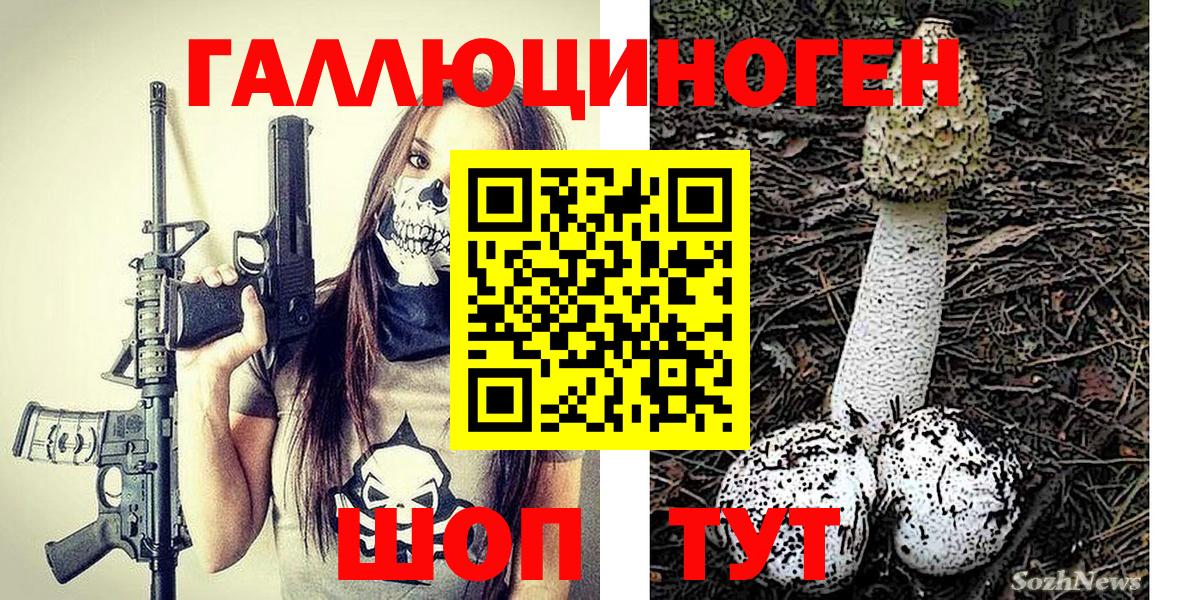 Псилоцибиновые грибы Psilocybe Елабуга