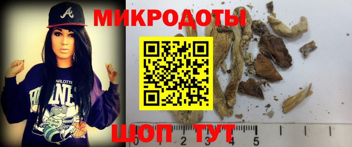 Псилоцибиновые грибы Cubensis  Вход с VPN  наркота  Елабуга 